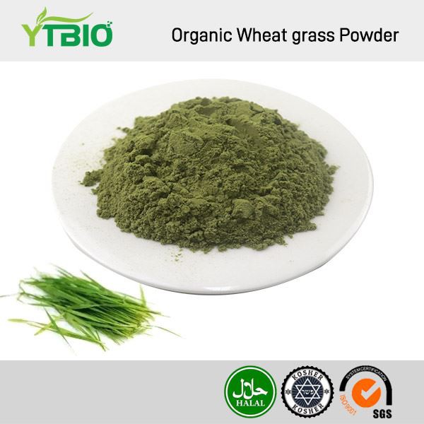 Bio-Weizengraspulver