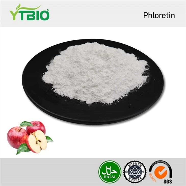 Phloretin-Pulver