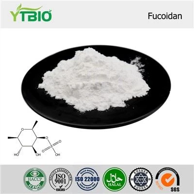 Fucoidan-Pulver