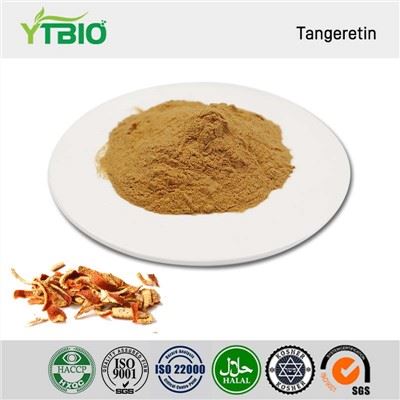 Tangeretin-Pulver