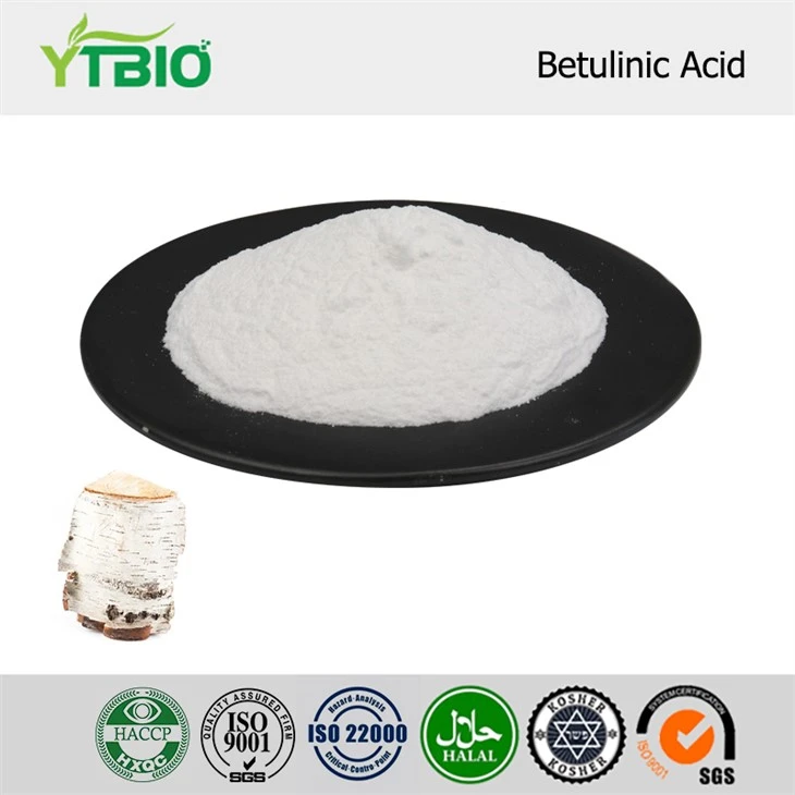 Betulinsäure Pulver