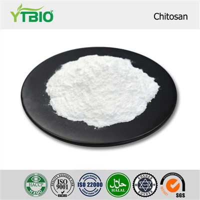 Chitosan-Pulver