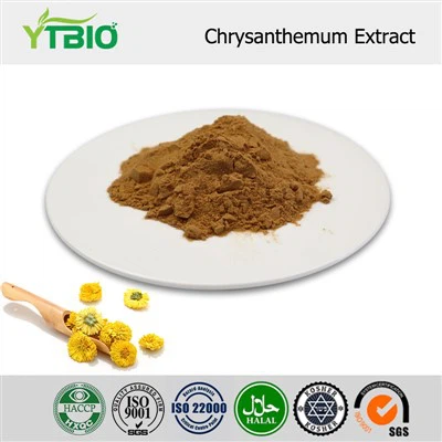 Chrysanthemenextrakt