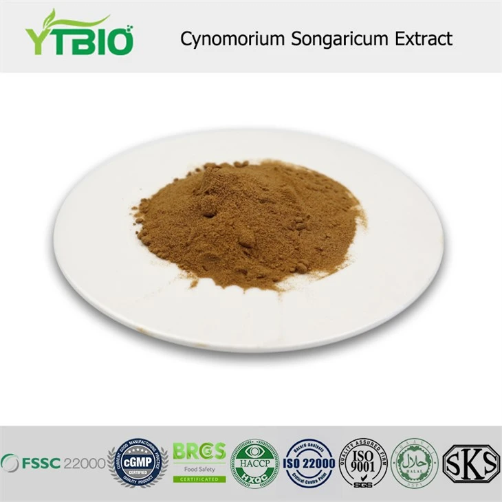 Cynomorium songaricum Extrakt