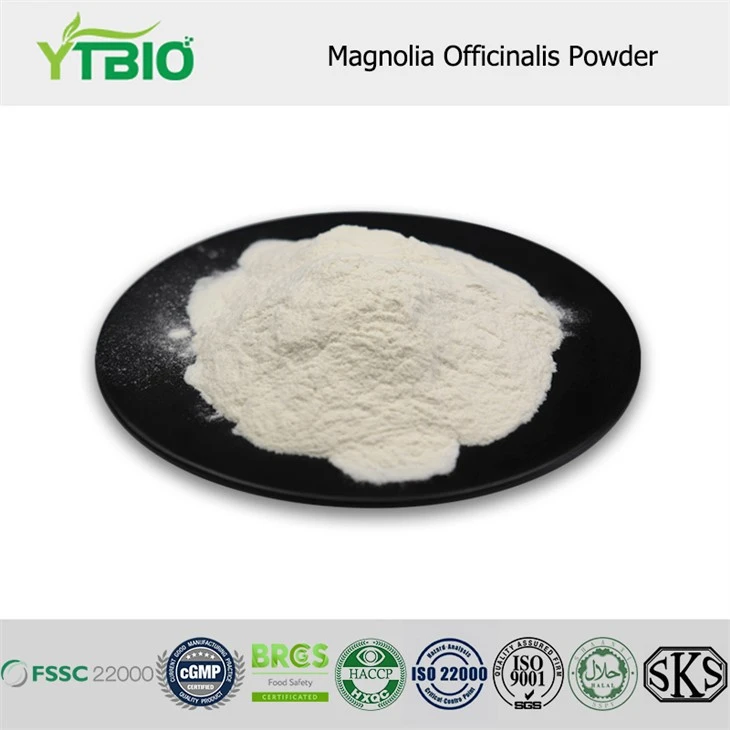 Magnolia officinalis Pulver