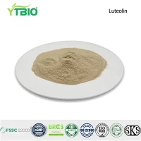 Ist 5-HTP gut für die Hautgesundheit?